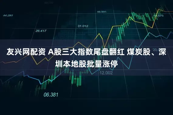 友兴网配资 A股三大指数尾盘翻红 煤炭股、深圳本地股批量涨停